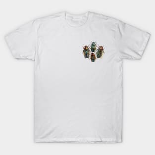 Rare Bronze Cicada Taxidermy T-Shirt
